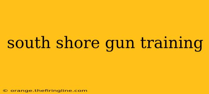 south shore gun training