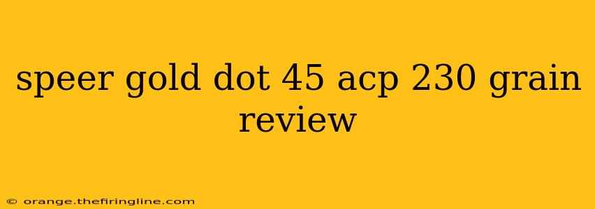 speer gold dot 45 acp 230 grain review