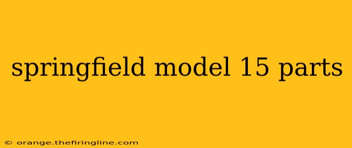 springfield model 15 parts