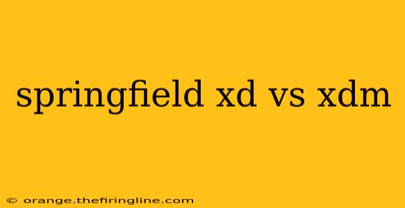 springfield xd vs xdm