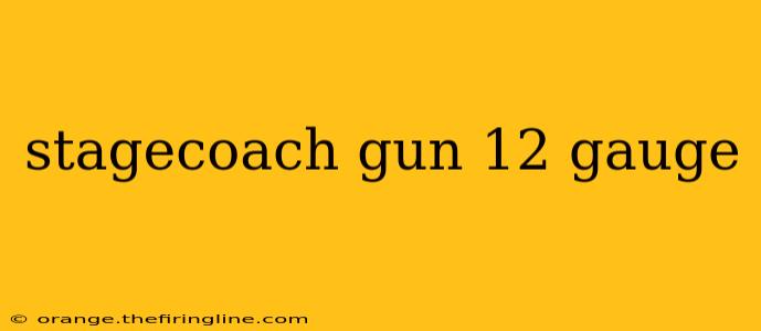 stagecoach gun 12 gauge