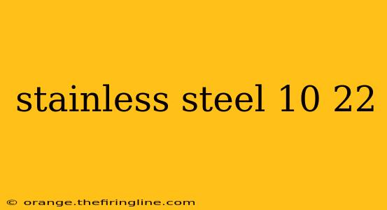 stainless steel 10 22