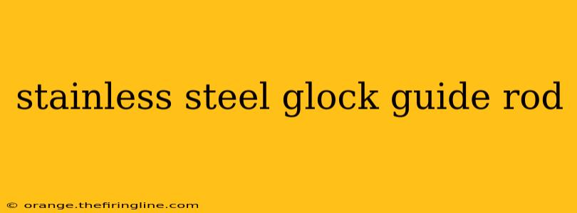 stainless steel glock guide rod