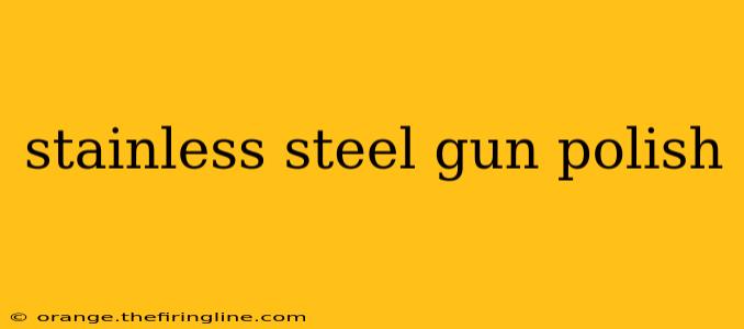 stainless steel gun polish