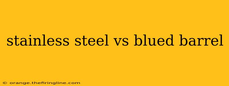 stainless steel vs blued barrel