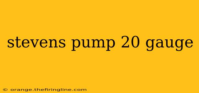 stevens pump 20 gauge