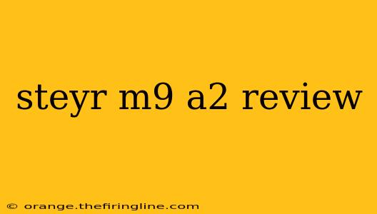 steyr m9 a2 review