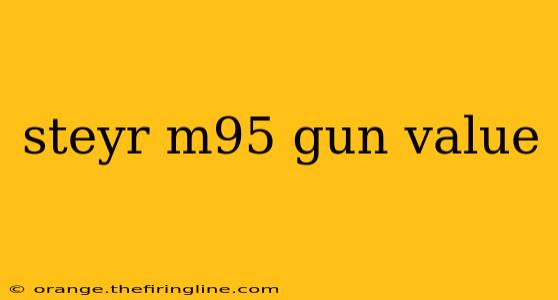 steyr m95 gun value