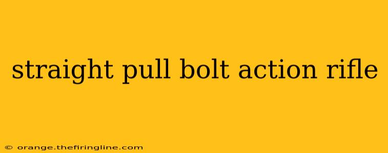 straight pull bolt action rifle