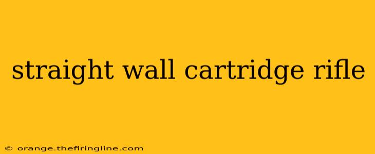 straight wall cartridge rifle