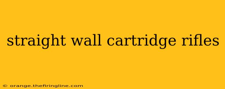 straight wall cartridge rifles