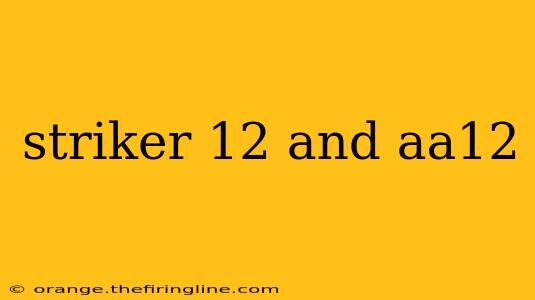 striker 12 and aa12