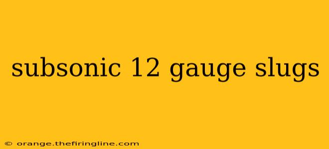 subsonic 12 gauge slugs