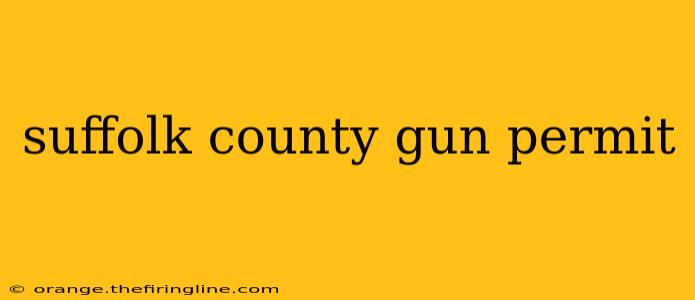 suffolk county gun permit