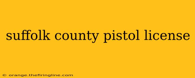 suffolk county pistol license