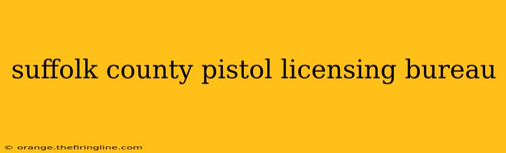 suffolk county pistol licensing bureau