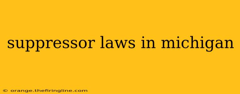 suppressor laws in michigan