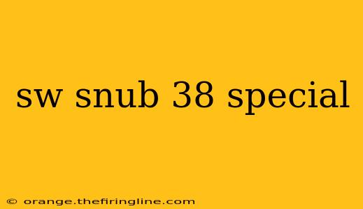 sw snub 38 special