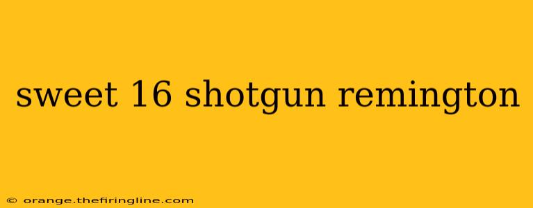 sweet 16 shotgun remington