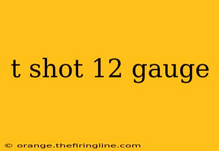 t shot 12 gauge