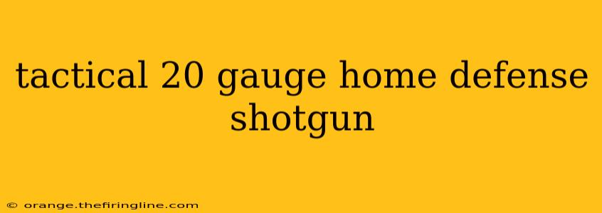 tactical 20 gauge home defense shotgun