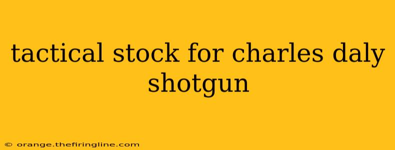 tactical stock for charles daly shotgun