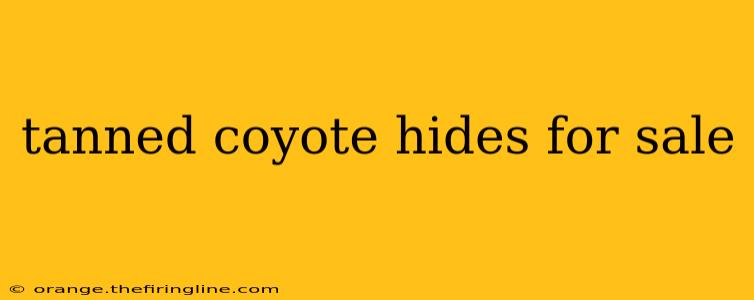 tanned coyote hides for sale