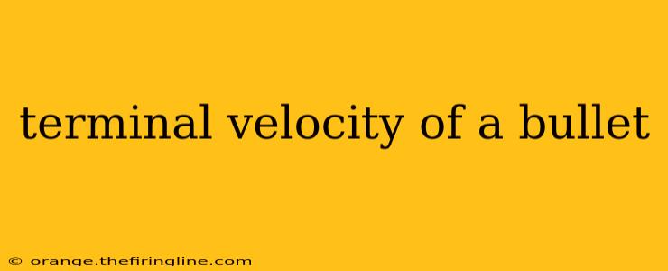 terminal velocity of a bullet