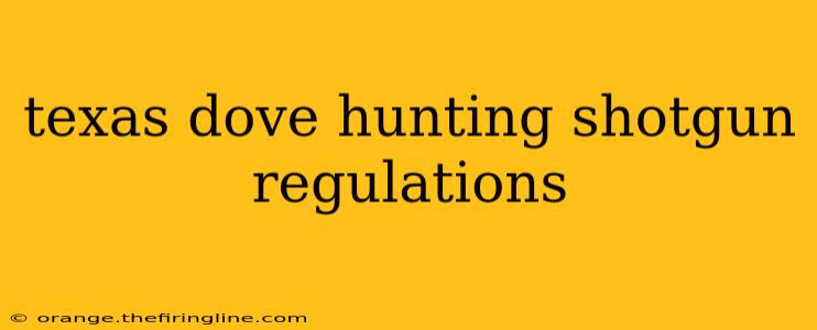 texas dove hunting shotgun regulations