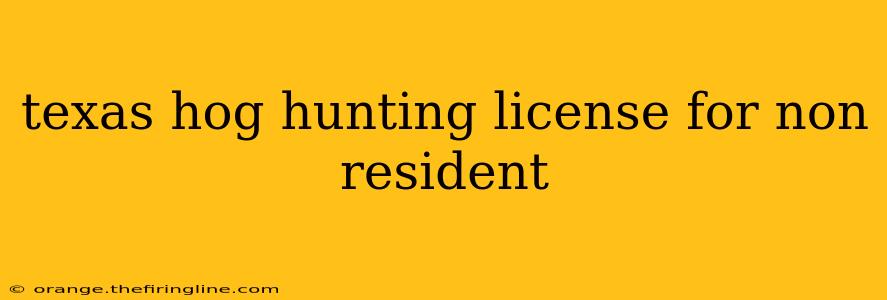 texas hog hunting license for non resident