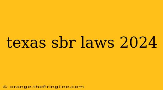 texas sbr laws 2024