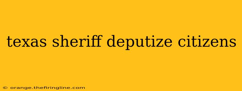 texas sheriff deputize citizens