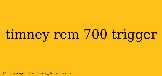 timney rem 700 trigger