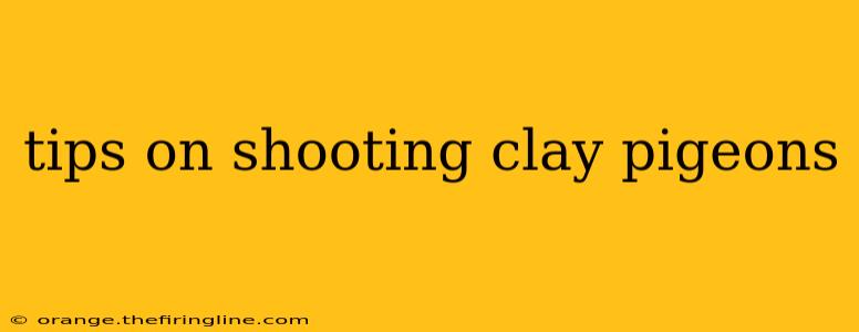 tips on shooting clay pigeons