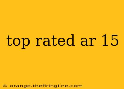 top rated ar 15