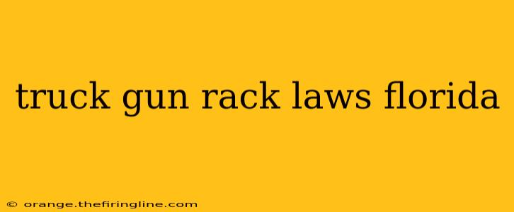 truck gun rack laws florida