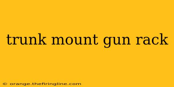 trunk mount gun rack