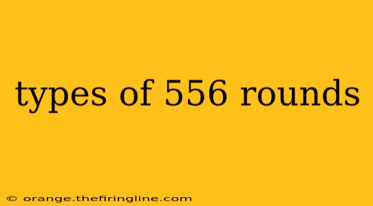 types of 556 rounds