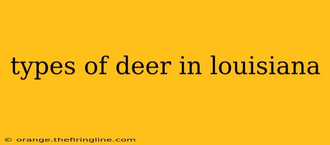 types of deer in louisiana