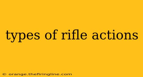 types of rifle actions