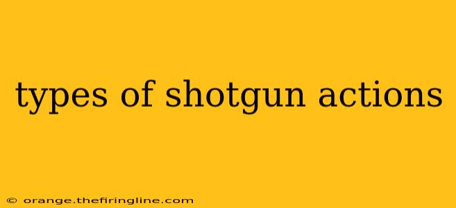 types of shotgun actions