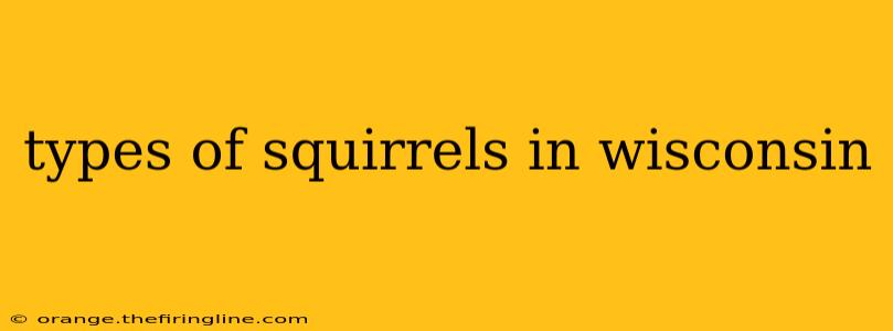 types of squirrels in wisconsin