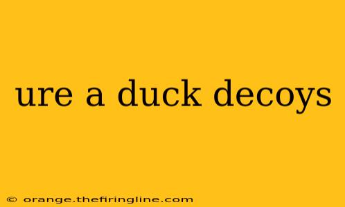 ure a duck decoys