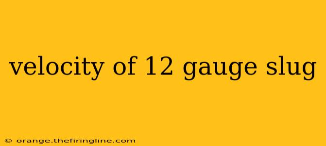 velocity of 12 gauge slug