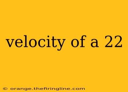 velocity of a 22