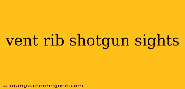 vent rib shotgun sights