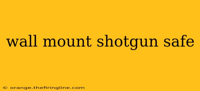 wall mount shotgun safe