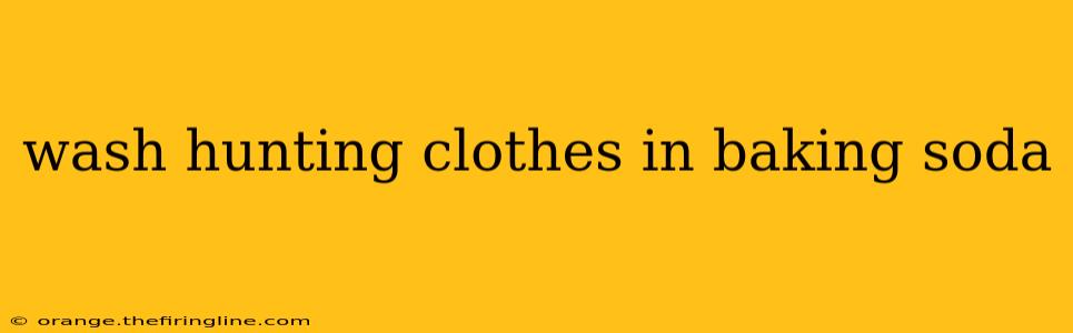 wash hunting clothes in baking soda