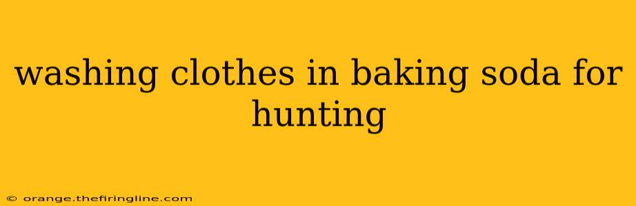 washing clothes in baking soda for hunting