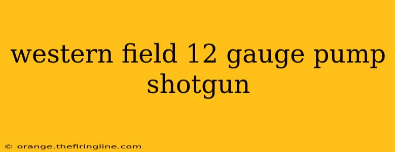 western field 12 gauge pump shotgun